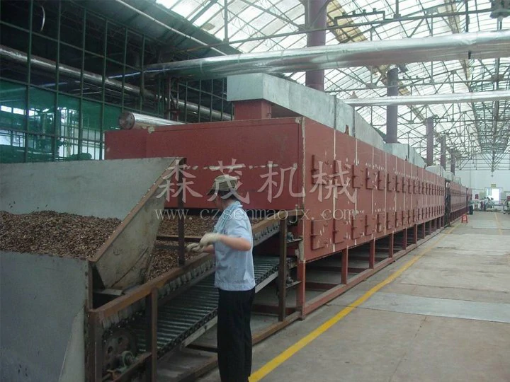 DWC series dehydrated vegetable belt dryer